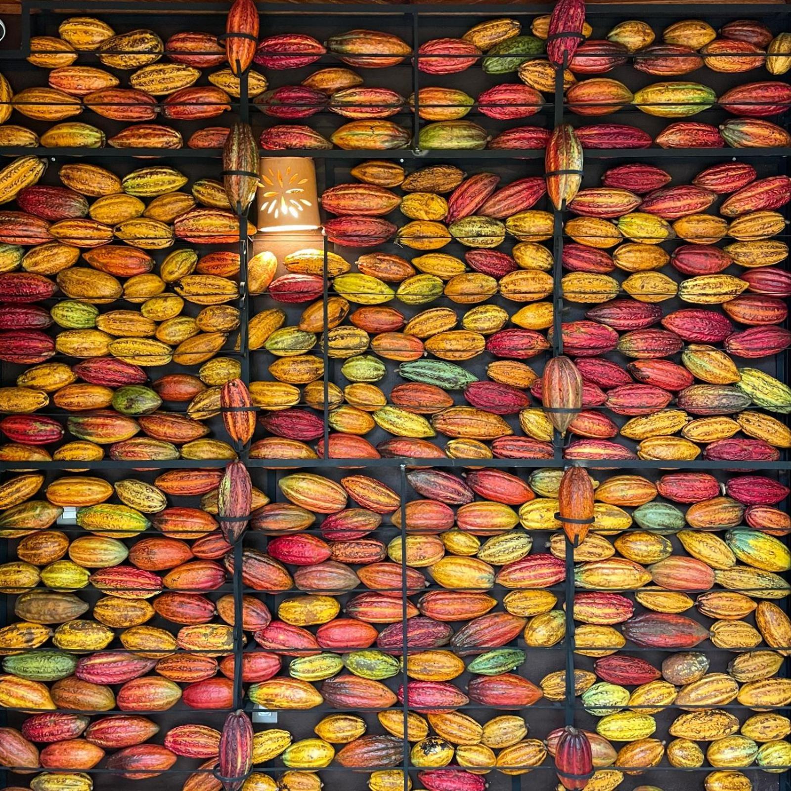 Chocolate Hotel Itacaré Exteriér fotografie